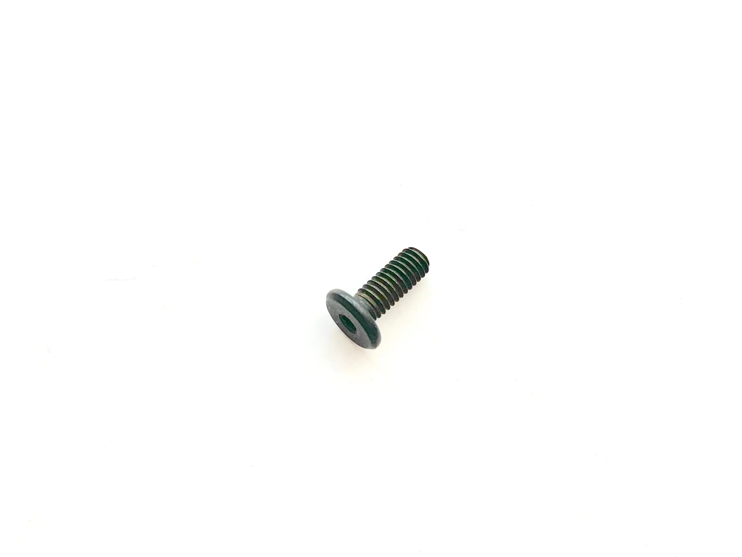Hexagon Socket Low Head Screw (M4x10)