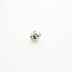 Pan Head Screw With SW/FW (Philips M4x10)