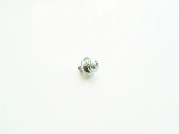 Pan Head Screw With SW/FW (Philips M4x10)