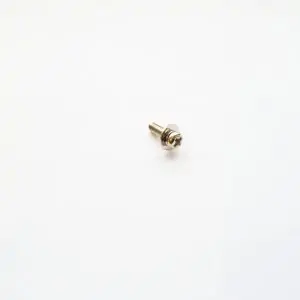 Pan head screw (Philips 3x10)