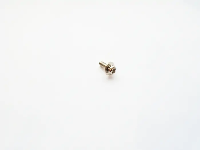 Pan head screw (Philips 3x10)